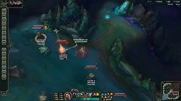 Vayne Q AA animation cancel.