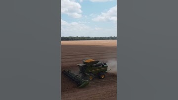 Soya Bean Harvest 2023