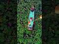Kerala beautiful place on earth#ytshorts #ytviral #ytsearch #nature