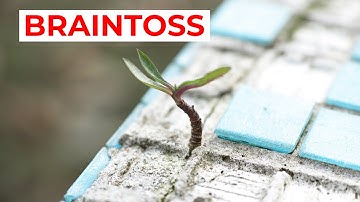 Braintoss: misschien wel de beste time management app ooit! | Tijdwinst.com