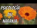 CURIOSIDADES DEL COLOR NARANJA | Curiosidades de los colores | Cómo mezclar colores básicos fácil