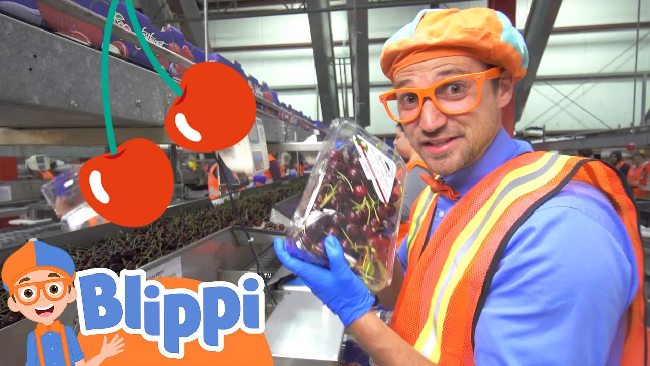 Blippi Explores A Cherry Farm! Healthy Habits & Eatings For Children