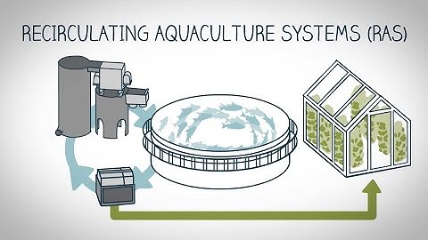 What is land-based fish farming?