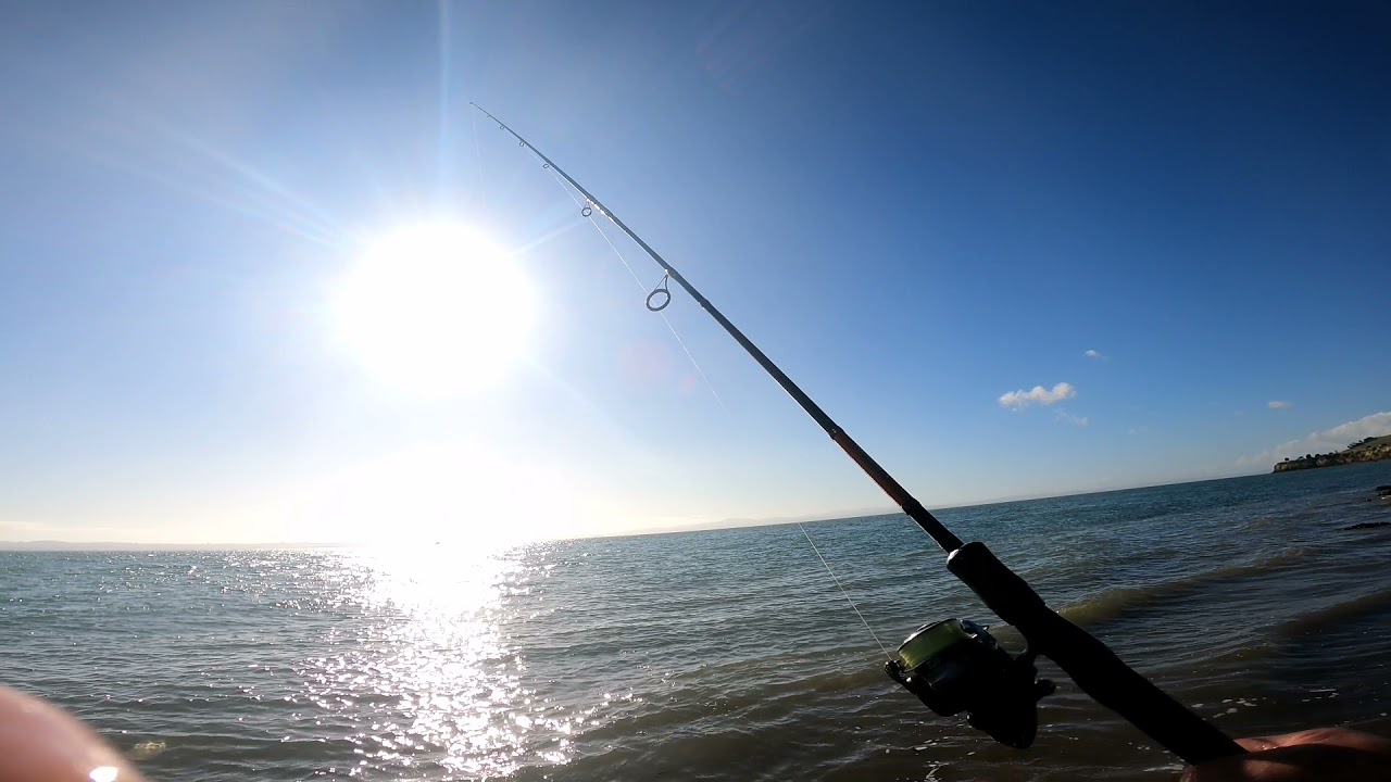 Jim asa....Mosquito bay auckland overnight fishing