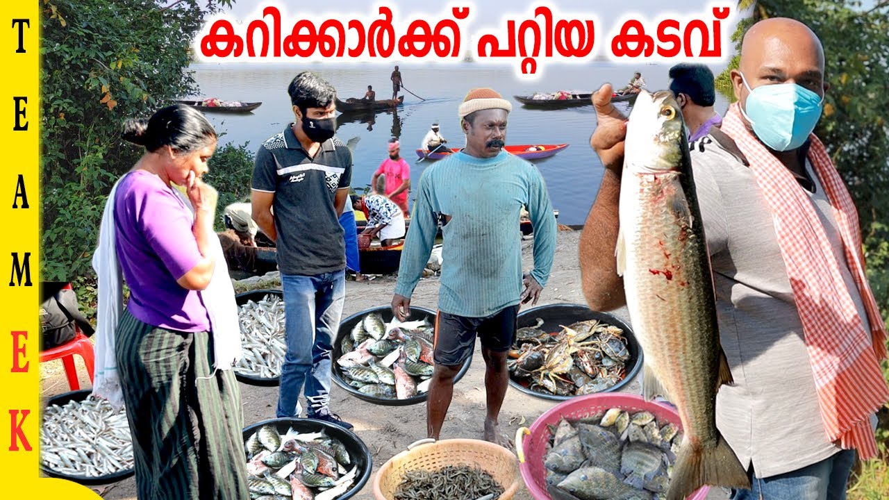 ഈ മാലാവ് കണ്ടൊ വെറും 600 ₹ ✨പെടക്കണ മീൻ നേരിട്ട് വാങ്ങാം🙌 | Murukkumpuzha  Kadavu🐠 | Team Entekollam