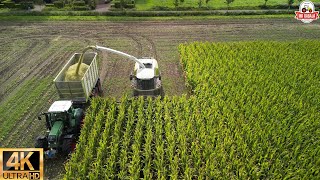 part 1 Cornharvest 2023 +dronefootage Jennissen Claas jaguar 990 terra trac 900 orbis+3 fendt+kaweco