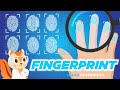 Everything you need to know about fingerprints  cool facts  science for kids