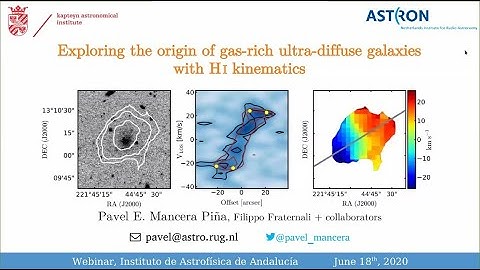 Pavel Mancera - Exploring the origin of gas-rich ultra-diffuse galaxies with HI kinematics