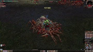 Metin2  Ruby Kirin Shamy vs Spider Baroness