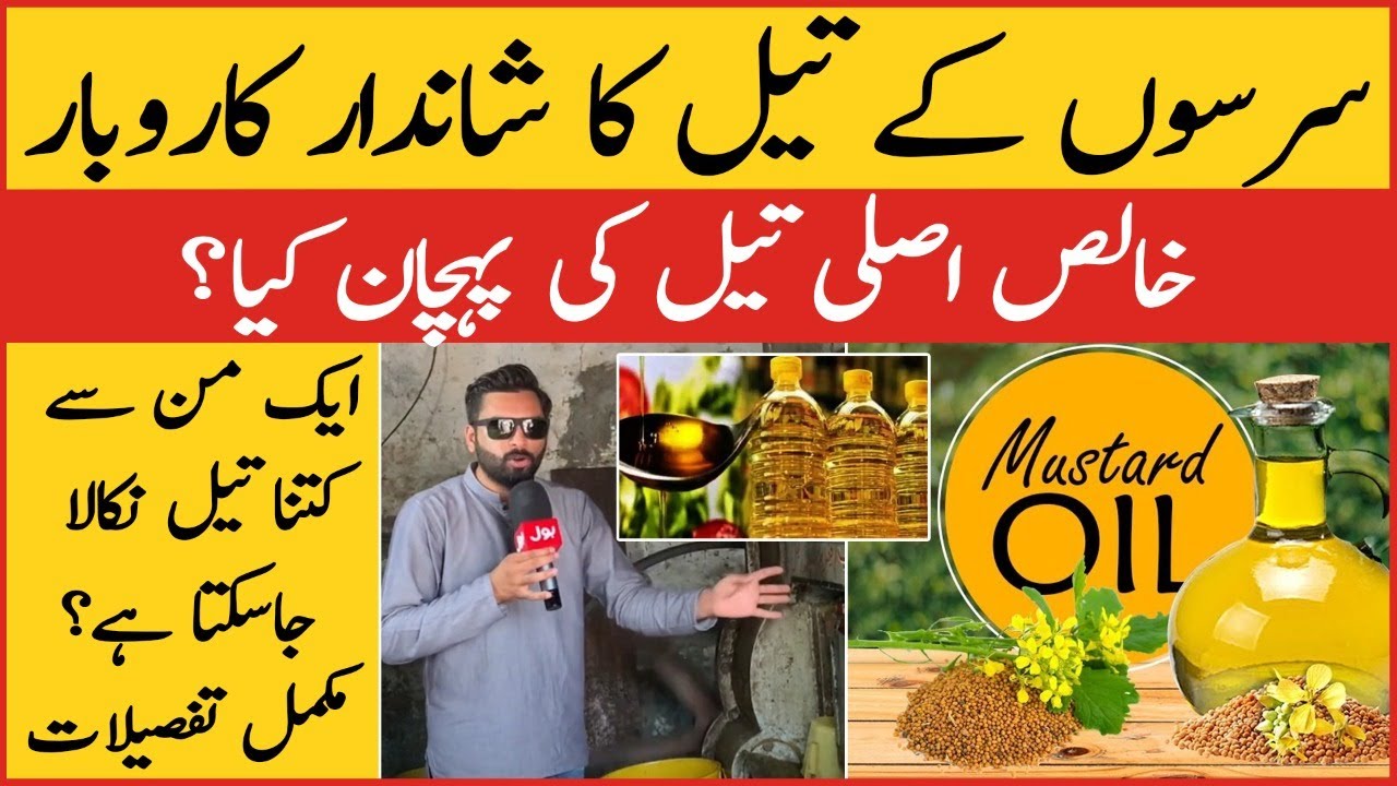 Mustard Oil Business in Pakistan | Sarson Kay Tail Ka Karobar ...