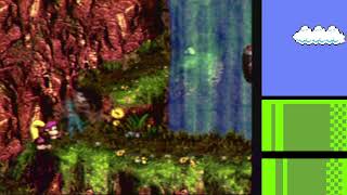 DKC3 First Completion (1)