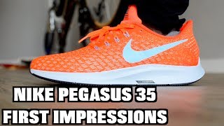 zoom pegasus 33 vs 34