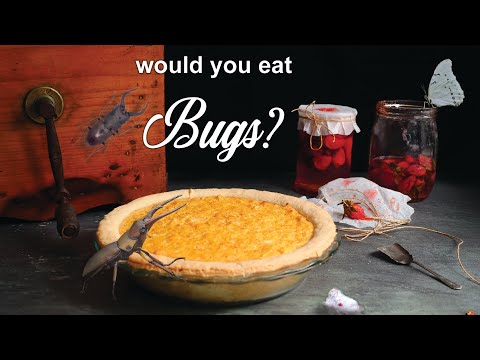 200 Year-Old Crazy Dessert With Bugs In It! | How To Cook That Ann Reardon