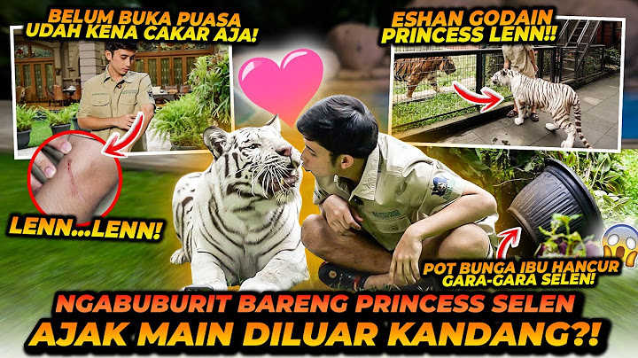 NGABUBURIT BARENG SELEN DIAJAK JALAN2 KELUAR KANDANG ! ESHAN NGAMUK PENGEN IKUT JUGA !