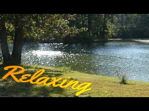 camera iphone 8 plus apk On Windy Pond-Relaxing Sounds of Nature -Water Wind Birds