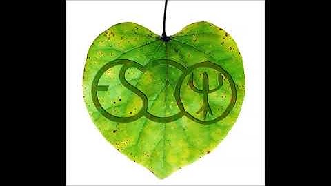 ESC Deep Forest Project for Omnisphere - "Chácabo" demo by Tim Dale