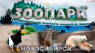 Новосибирский ЗООПАРК им. ШИЛО | Новосибирск | #новосибирск  #зоопаркновосибирск