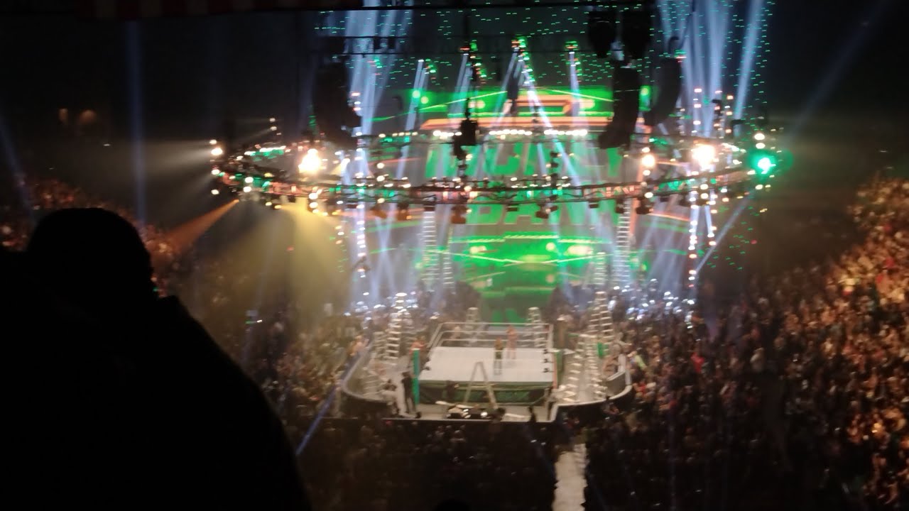 Women's Money in the Bank Ladder Match WWE Money in the Bank MGM Grand