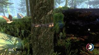 The Forest: A Frightening & Fearful Experience