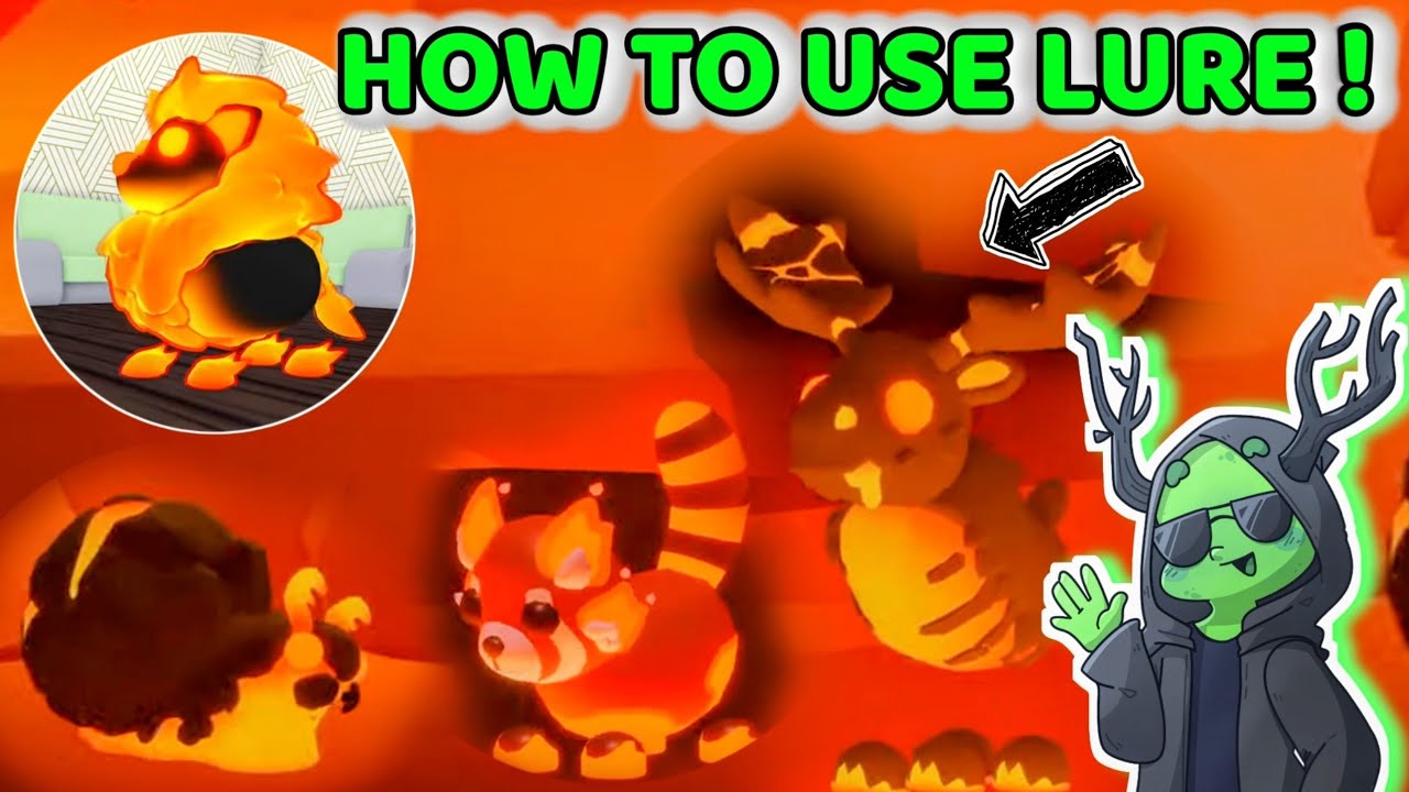 HOW TO USE LURE AND BAIT IN ADOPT ME CATCH FIRE PETS YouTube
