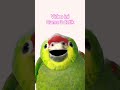 video 3 detik