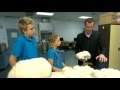 Dyeing merino wool  all about animals tv show