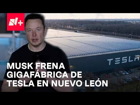 Elon Musk frena