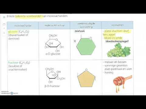 inleiding koolhydraten: functies en monosachariden