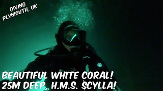 Diving Plymouth, UK  Stunning White Coral at the H.M.S. Scylla, Poor Viz but a good dive!