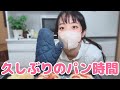 【田舎暮らし】ヤギと猫と過ごす田舎の日常
