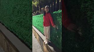 Umay Yine Duvara Çıktı