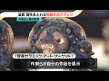 個性あふれる陶器作品がずらり　「信楽セラミック・アート・マーケット」　滋賀・甲賀市