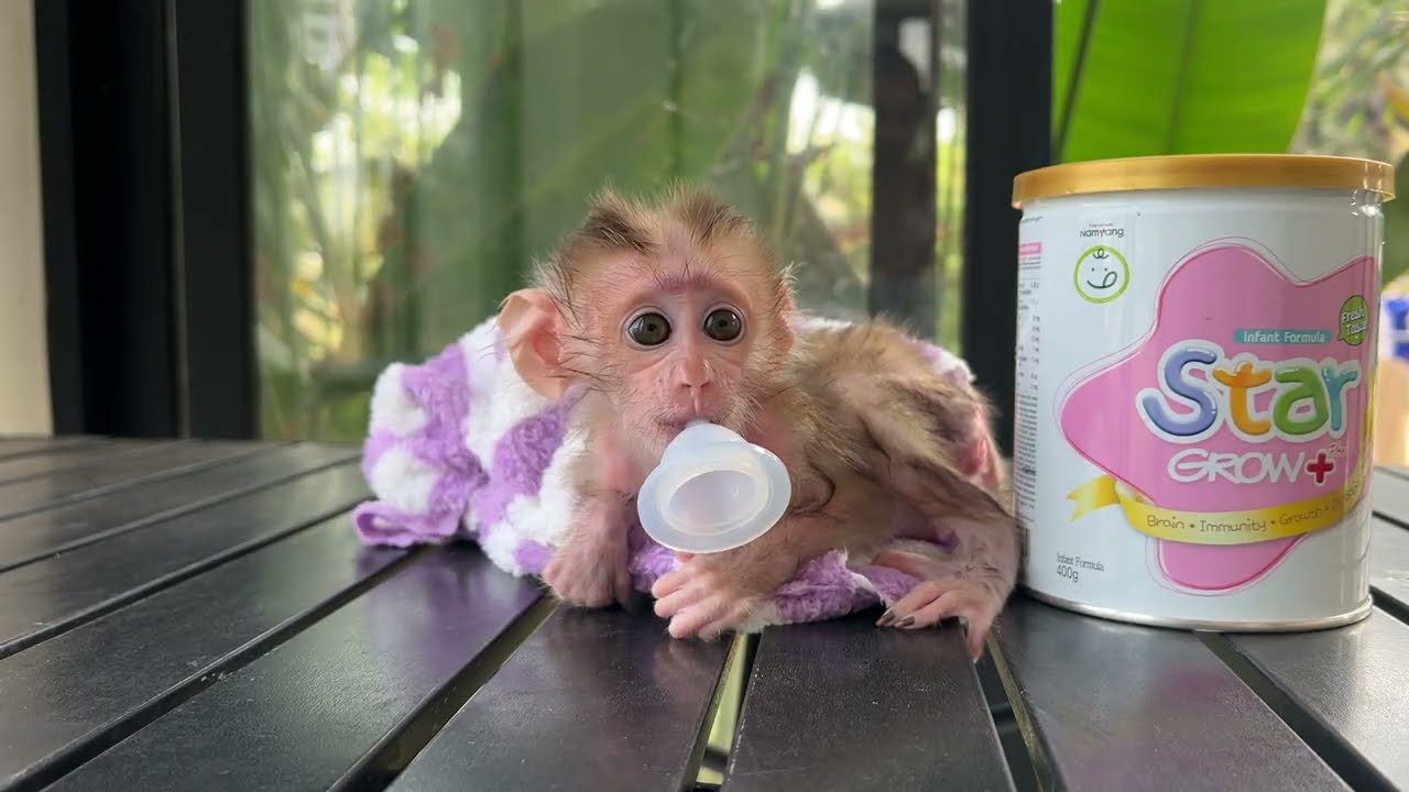 Milk Please.............😭😭