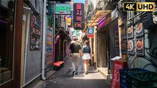 Seoul Walking Tour 4K | Jongno to Euljiro, Cheonggyecheon & Dongdaemun | Relaxing City Walk 을지로 동대문