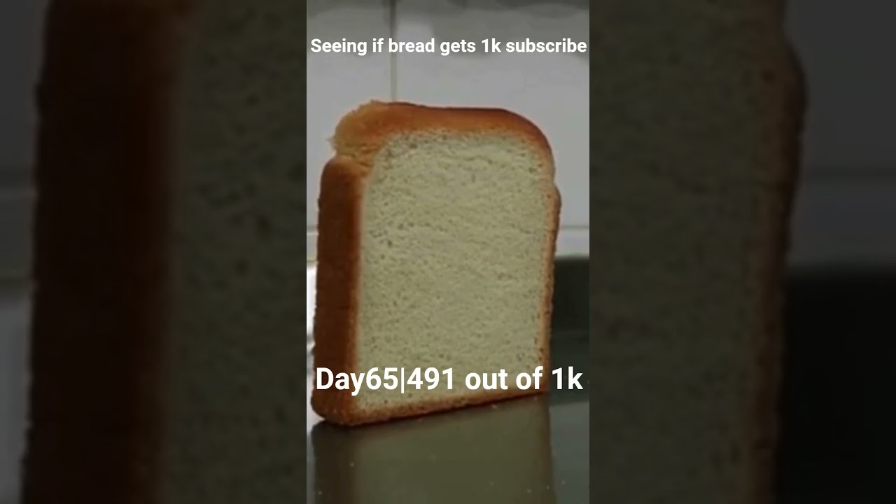 Bread Challenge Will We Reach 1K Subscribers Shorts YouTubeGrowth 1KSubscriber