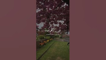 {وما تدري نفس بأي أرض تموت}للقارئ احمد خضر تلاوة قصيرة قران كريم