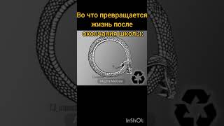 Не дай бог кому-то также #мем #mem #meme #мемас