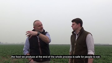 Understanding crop protection