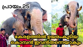 5 വയസ്സിൽകേരളത്തിലെത്തി ഇപ്പോ 25 വയസ്സ്പ്രായം.കുട്ടികുറുബുള്ള കൊമ്പനും, പാപ്പാനും