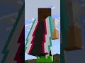 Rcuprer la cape tiktok sur minecraft pour les 15ans de minecraft 