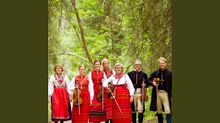 Video thumbnail of "Boda mollkapell - Jönslars fars polska"