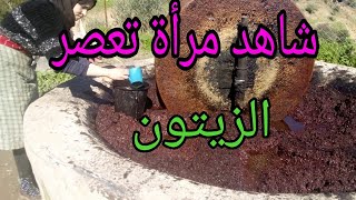 مرأة تعصر الزيتون| وكيفية استخراج الزيت من معصرة تقليدية...