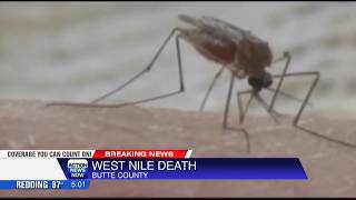Butte County s 1st West Nile death this year what you need to know