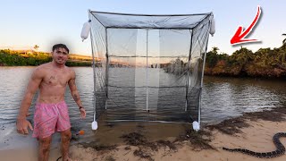 Building the WORLDS LARGEST freshwater Fish Trap… (bigger than my truck)