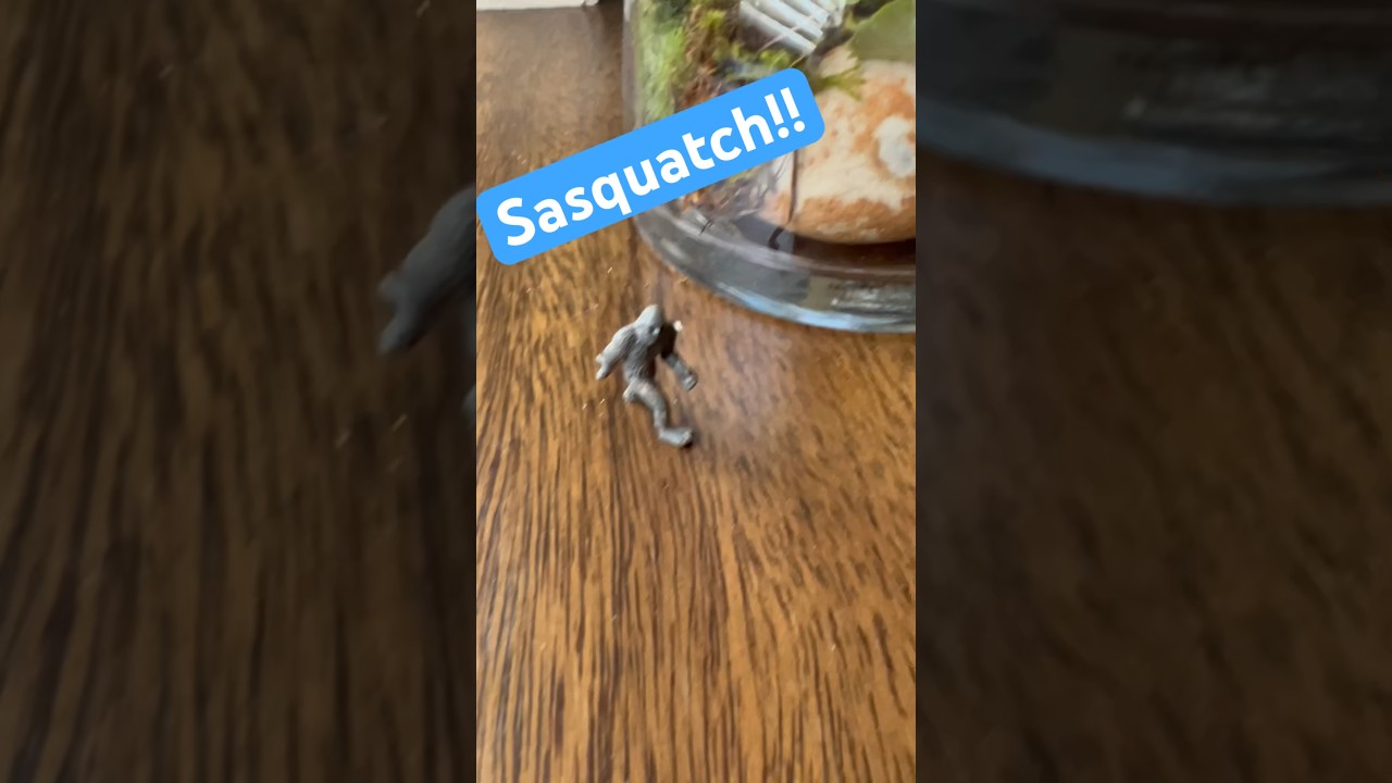 Bigfoot escaped his Terrarium!! Ruuuuun!! #sasquatch #bigfoot #yeti #nature #hikingtrail bekijken op YouTube Bigfoot escaped his Terrarium!! Ruuuuun!! #sasquatch #bigfoot #yeti #nature #hikingtrail bekijken op YouTube