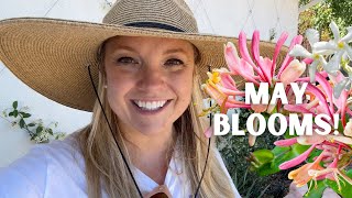 May Blooming Garden!  Planting May Blooms (and Some Veggies Too!)