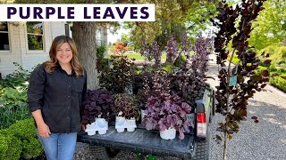 Beautiful Purple Plant Options for Your Garden! 💜💜💜 // Garden Answer screenshot 3