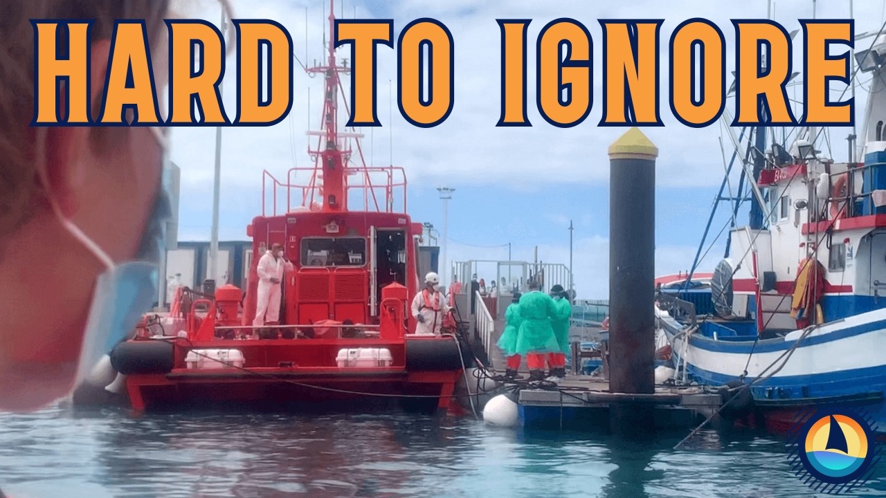 ⁣Ep59 – We Didn’t Expect THIS 😱 Deadly Creatures & Refugees in Tenerife