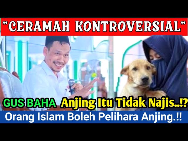 GUS BAHA Terbaru ‼️ Anjing Tidak Najis,!? Orang Islam Boleh Peliharaan Anjing,!?ngaji ilmu tinggi class=