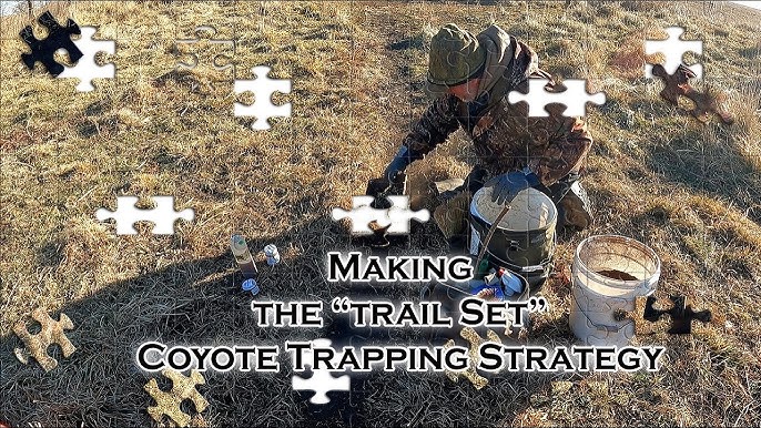 4 SETS GUARANTEED TO CATCH COYOTES! Jinx Top 4 Coyote Trapping Sets  2022-23Trapping Season 